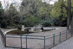 Tierpark Birkenheide image