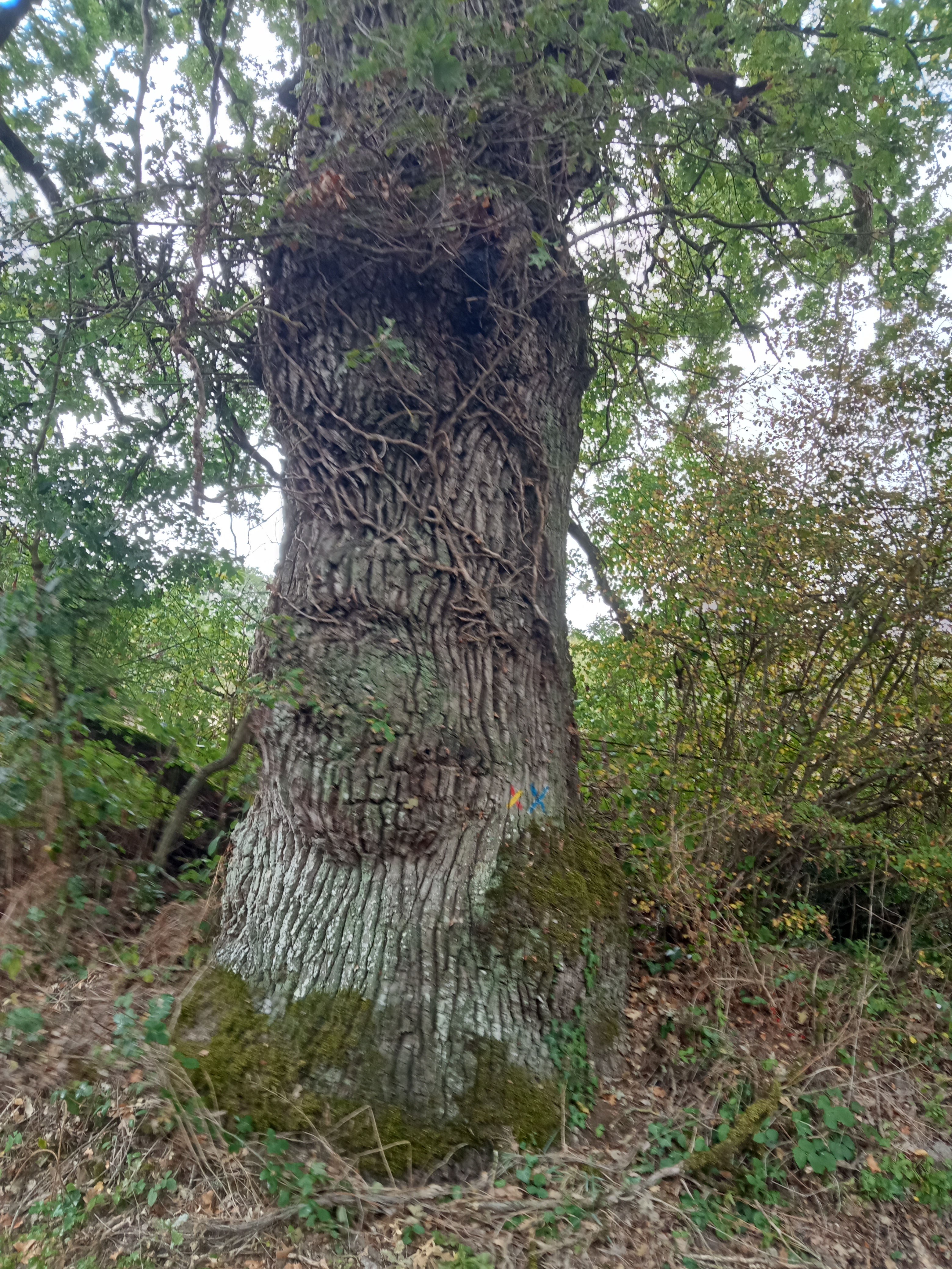 Photo n° 18 de l'avis de Marlène.a fait le 22/09/2023 à 22:10