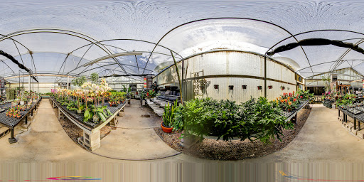 Florist «Dr Delphinium Flower & Orchid House», reviews and photos, 513 W Campbell Rd, Richardson, TX 75080, USA