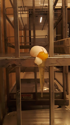 Supermarket «ALDI», reviews and photos, 1023 W County Line Rd, Hatboro, PA 19040, USA