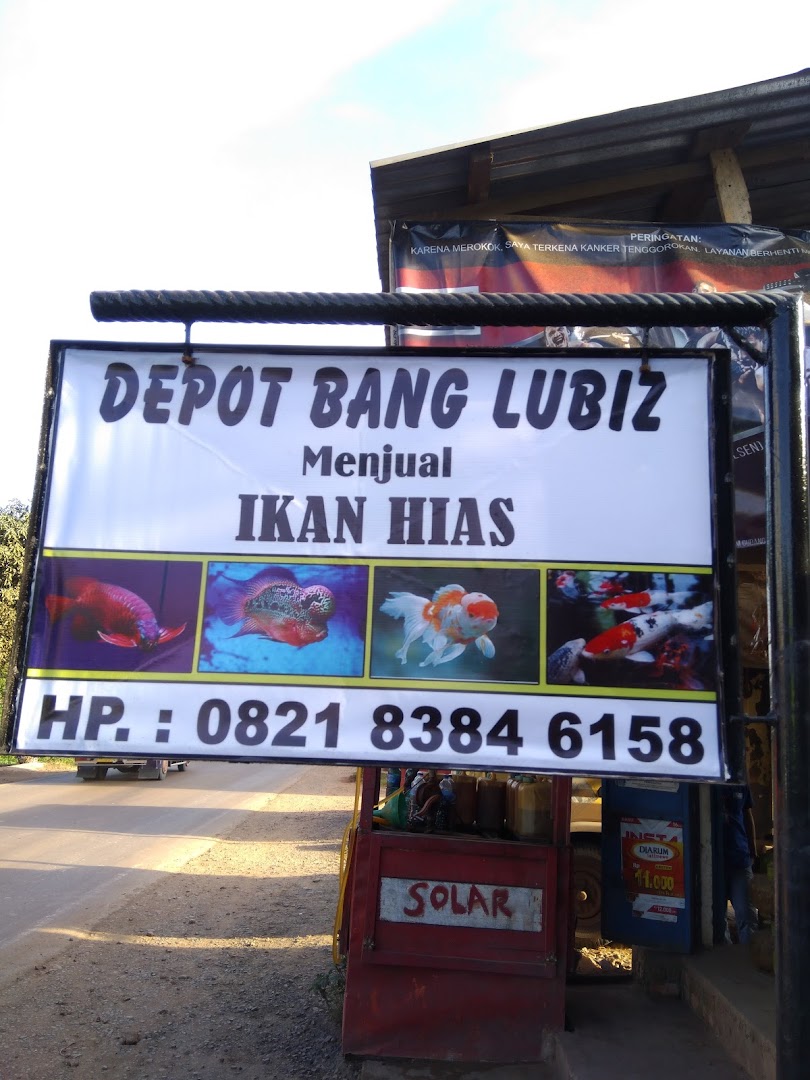 Gambar Depot Ikan Hias Bang Lubiz