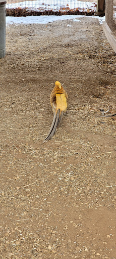 Tourist Attraction «Top Secret Attraction», reviews and photos, 2127 Wisconsin Dells Pkwy, Wisconsin Dells, WI 53965, USA