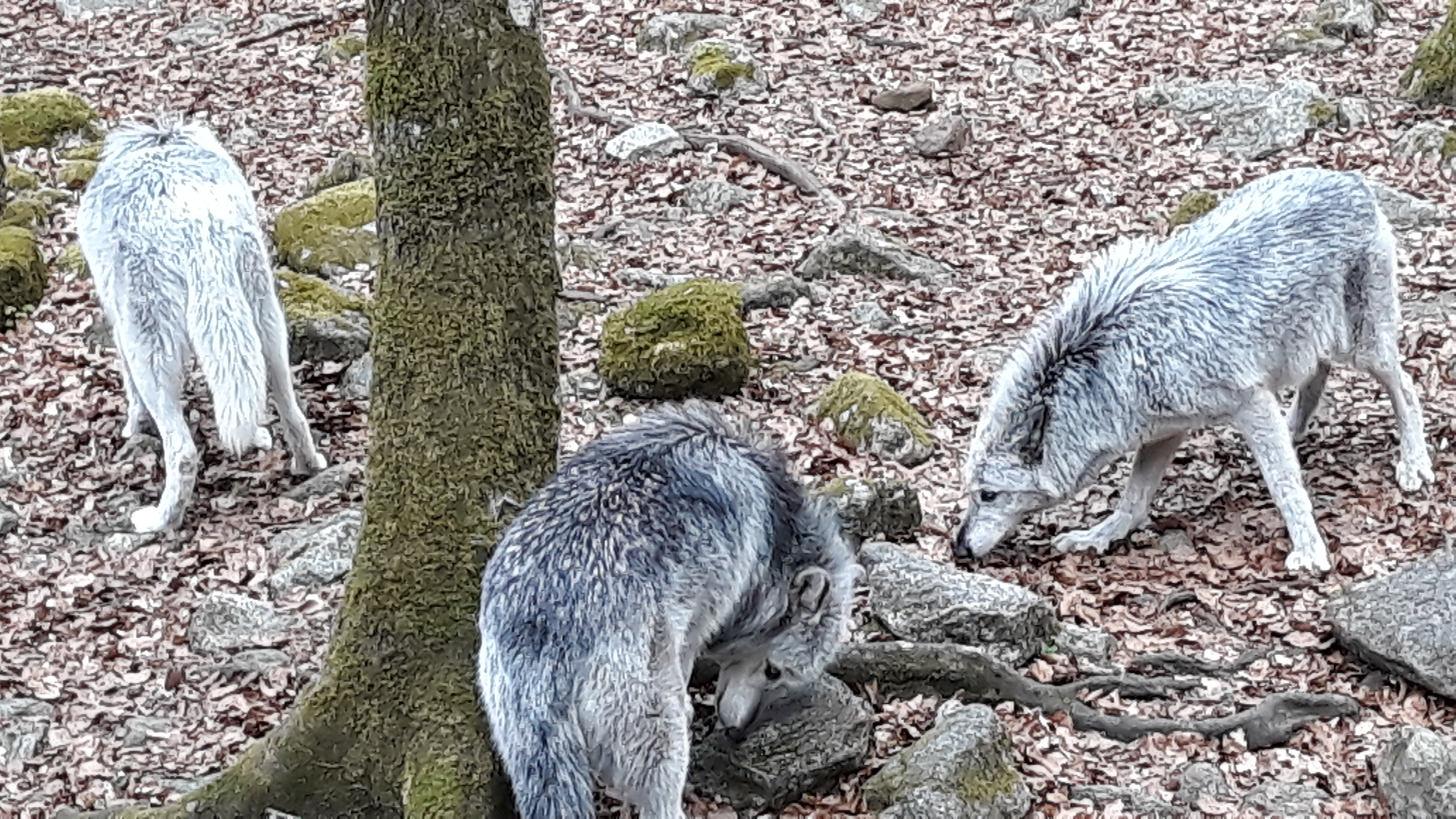 Photo n° 2 de l'avis de Anne.a fait le 24/04/2019 à 15:11