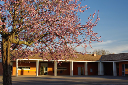 École Emile Massio à Buzet-sur-Tarn, Haute-Garonne