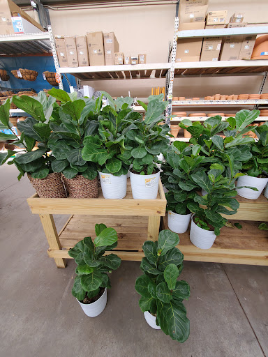 Home Improvement Store «The Home Depot», reviews and photos, 7001 Crestwood Blvd #1300, Birmingham, AL 35210, USA