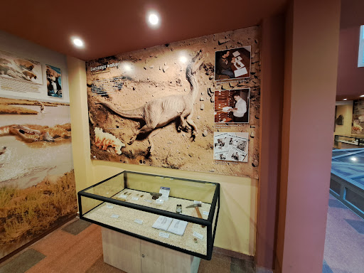 Paleontological Interpretation Center of La Rioja, Museo en Igea,La Rioja