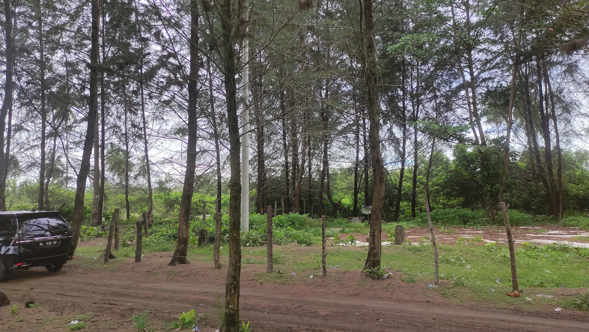 Gambar Pantai Suak Ie Beusoi