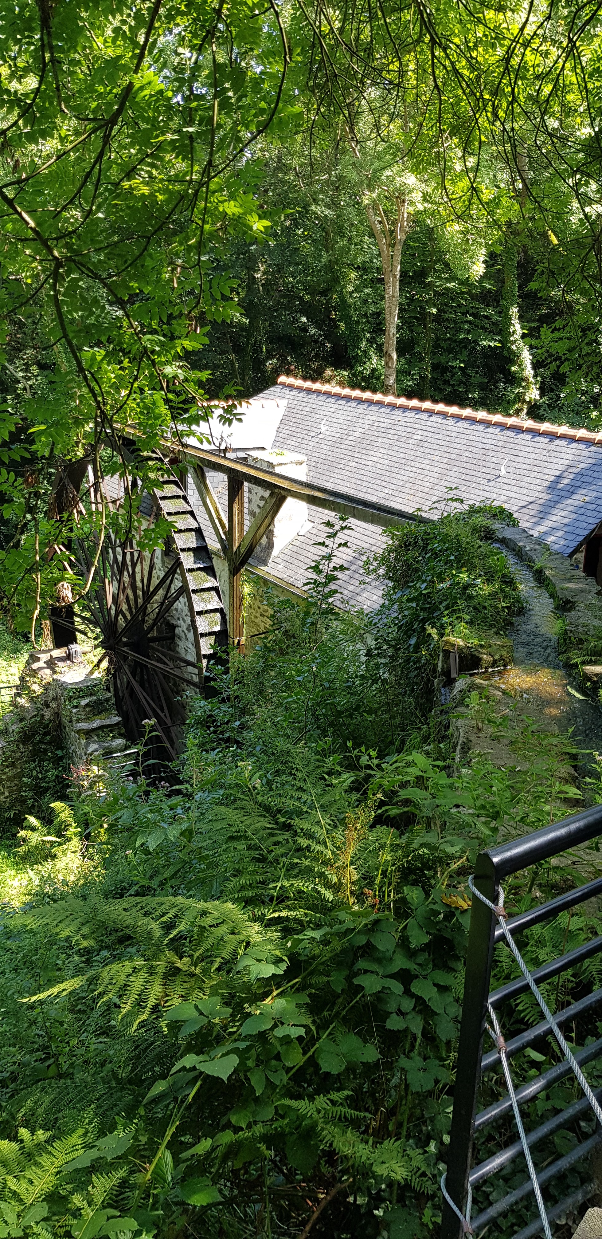 Photo n° 1 de l'avis de loris.a fait le 24/08/2019 à 10:26