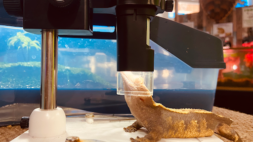 Aquarium «Team ECCO Ocean Center & Aquarium», reviews and photos, 511 N Main St, Hendersonville, NC 28792, USA