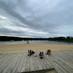 Photo n°14 de l'avis de Andrea.o fait le 07/10/2023 à 17:45 sur le  Bernsteinsee Hotel & Ferien à Sassenburg