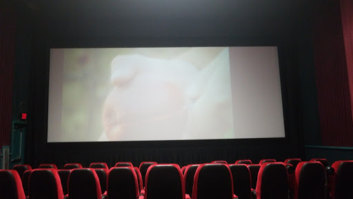 Movie Theater «Goodrich Kalamazoo 10», reviews and photos, 820 Maple Hill Dr, Kalamazoo, MI 49009, USA