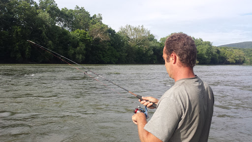 Nature Preserve «Shannondale Springs Wildlife Management Area», reviews and photos, Co Rte 9/5, Harpers Ferry, WV 25425, USA