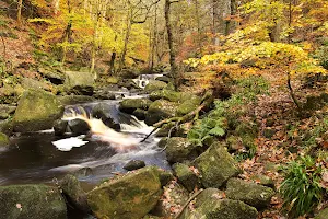 National Trust - Padley Gorge image