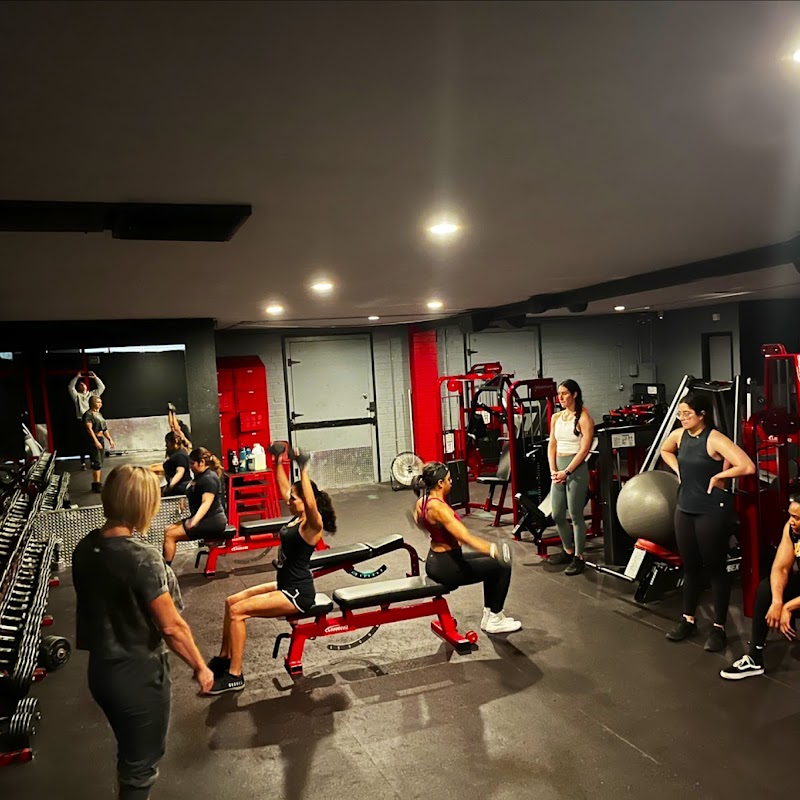 Physiques Gym