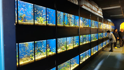 Pet Store «Olathe Pet Shop», reviews and photos, 16651 151st St, Olathe, KS 66062, USA