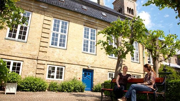 Opinii despre Skovgaard Museet în Viborg - Museum