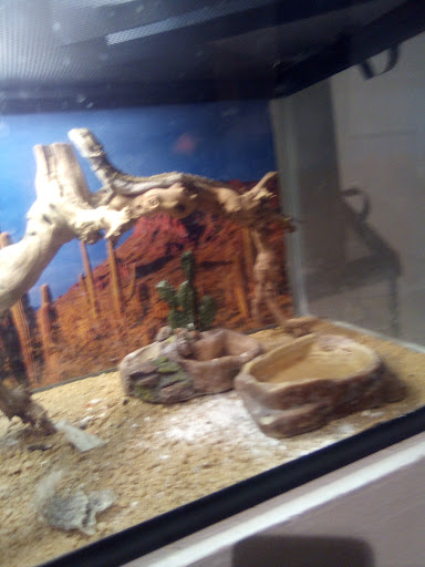 Science Academy «The Living Arts & Science Center», reviews and photos, 362 N Martin Luther King Blvd, Lexington, KY 40508, USA