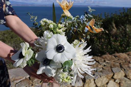 Florist «Native Poppy», reviews and photos, 2335 University Ave, San Diego, CA 92104, USA