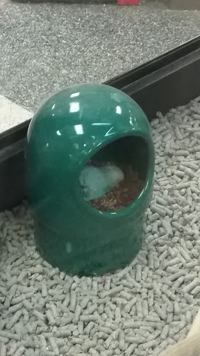 Pet Supply Store «Petco Animal Supplies», reviews and photos, 1450 Twixt Town Rd, Marion, IA 52302, USA