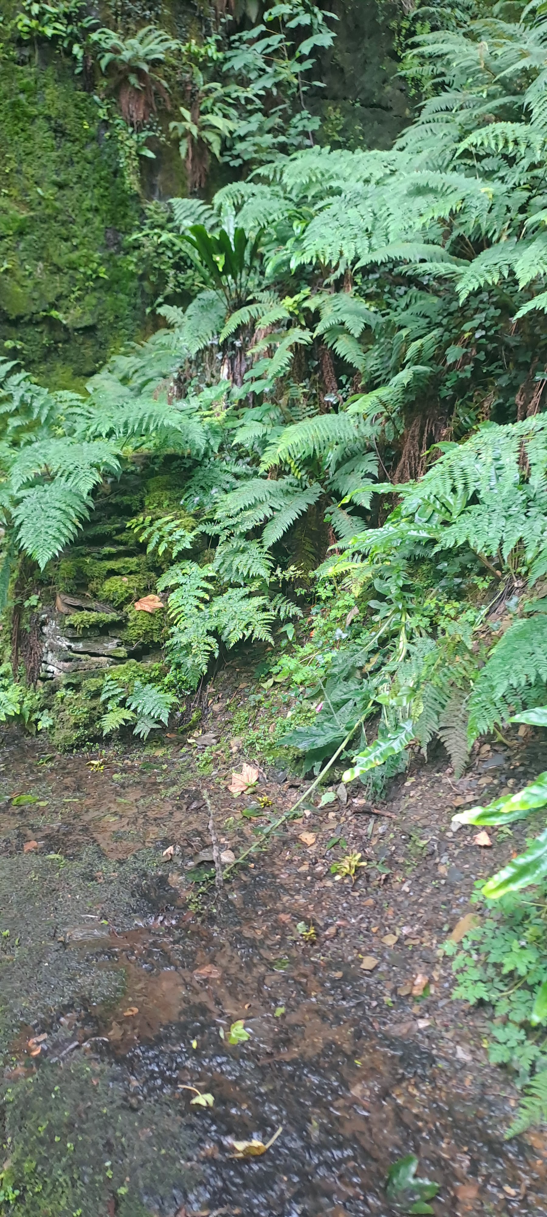 Photo n° 3 de l'avis de Stéphanie. fait le 01/08/2023 à 07:38