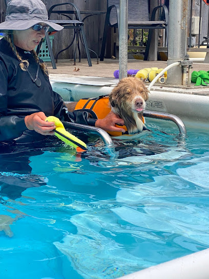 Splash-Dog Swim Therapy
