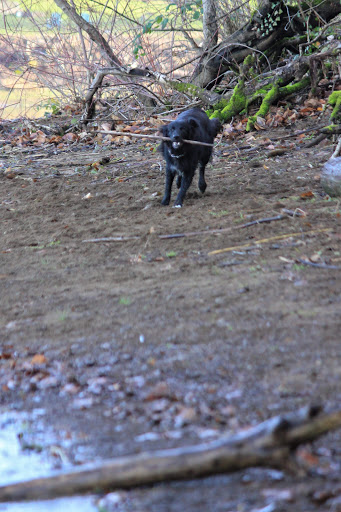 Pet Supply Store «Petco Animal Supplies», reviews and photos, 2000 NE Burnside Rd, Gresham, OR 97030, USA
