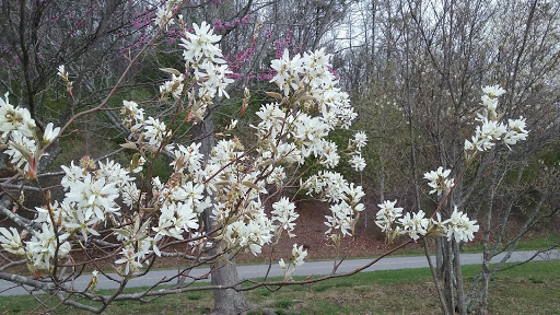 National Park «Blue Ridge National Heritage Area», reviews and photos, 195 Hemphill Knob Rd, Asheville, NC 28803, USA