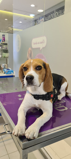 Clínica Veterinaria García Vallejo en Sevilla