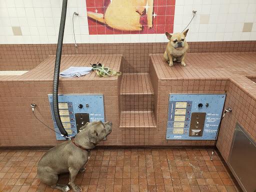 Pet Supply Store «Pet Food Express», reviews and photos, 39010 Paseo Padre Pkwy, Fremont, CA 94538, USA