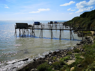 La fleur de Sel à Port-des-Barques