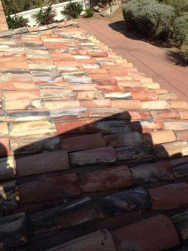 Non-Profit Organization «Society of St. Vincent de Paul - Main Campus», reviews and photos