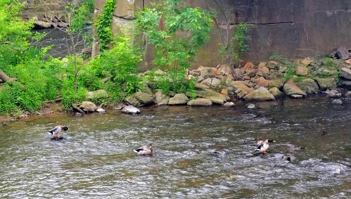 Coffee Shop «Riverside Coffee & Tea», reviews and photos, 51 Main St, Clinton, NJ 08809, USA