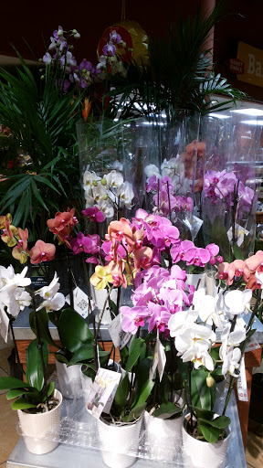 Supermarket «Giant Eagle Supermarket», reviews and photos, 2390 W Prospect Rd, Ashtabula, OH 44004, USA