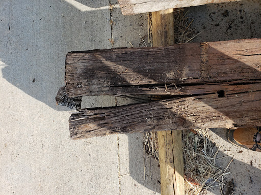 Home Improvement Store «Tractor Supply Co.», reviews and photos, 339 Rolling Hills Cir, Easley, SC 29640, USA