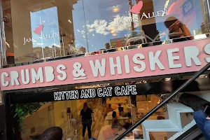 Crumbs & Whiskers | Kitten & Cat Cafe. image