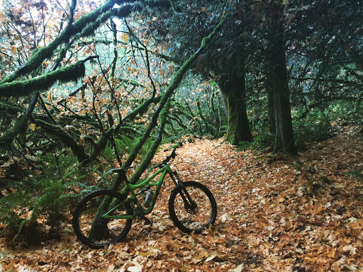 Bicycle Repair Shop «Tight Bike», reviews and photos, 37050 28th Ave S, Federal Way, WA 98003, USA