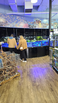 Petland Hoffman Estates - Photo 9 - Car repair in Hoffman Estates, IL, Elgin