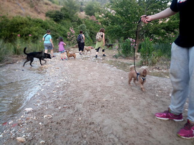 ΘΕΤΙΚΟ ΣΧΟΛΕΙΟ ΣΚΥΛΩΝ - Ηράκλειο
