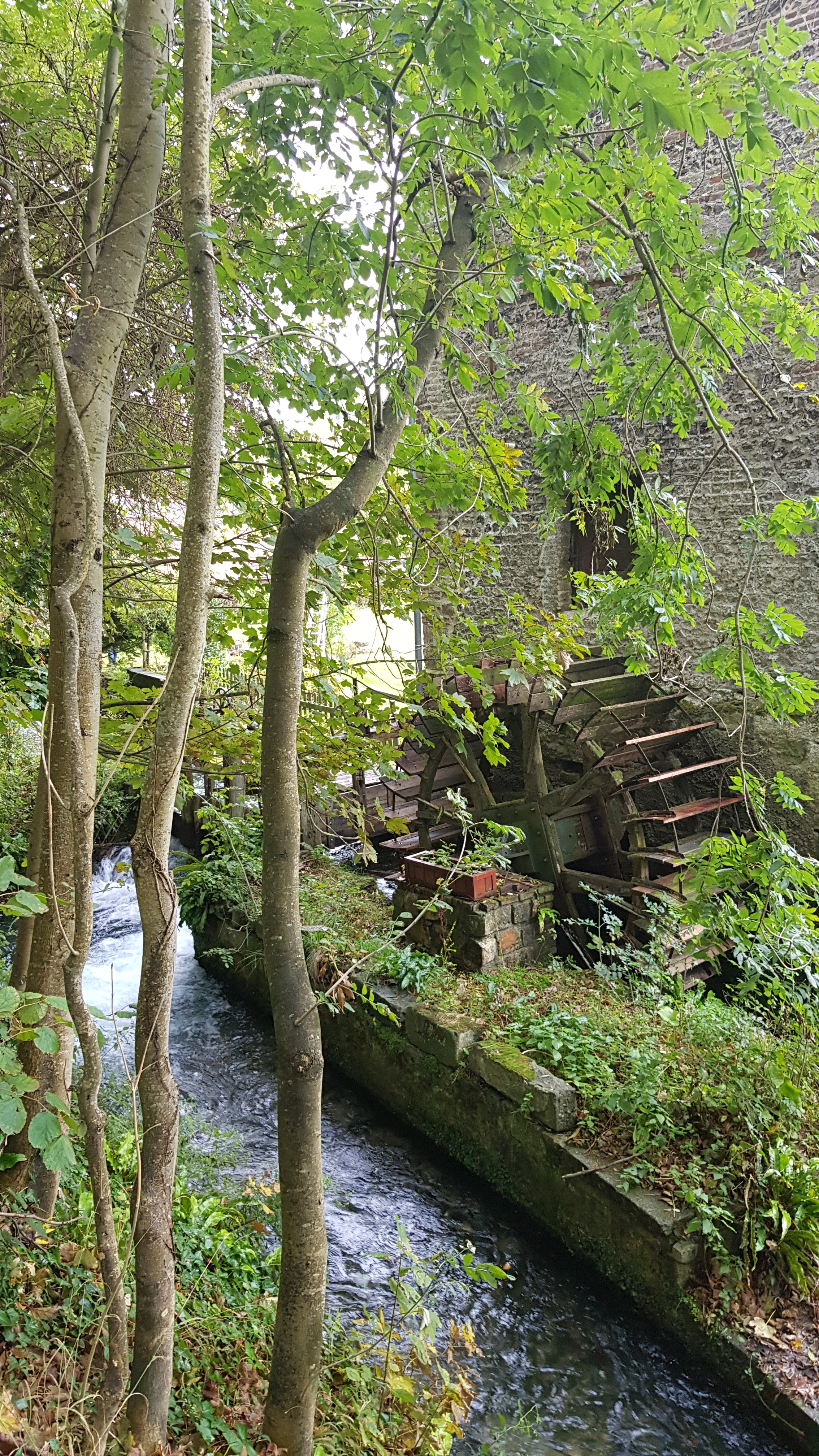 Photo n° 2 de l'avis de Laurence.l fait le 31/10/2021 à 20:24