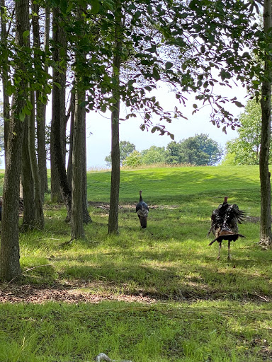 Public Golf Course «Queenstown Harbor Golf Course», reviews and photos, 310 Links Ln, Queenstown, MD 21658, USA