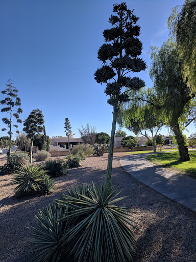 Golf Course «Willow Creek Golf Course», reviews and photos, 10600 N Boswell Blvd, Sun City, AZ 85351, USA