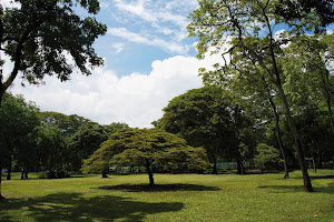 Jardín Botánico de Medellín image