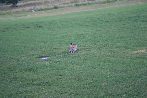 Private Golf Course «Comanche Trace», reviews and photos, 2801 Comanche Trace Dr, Kerrville, TX 78028, USA