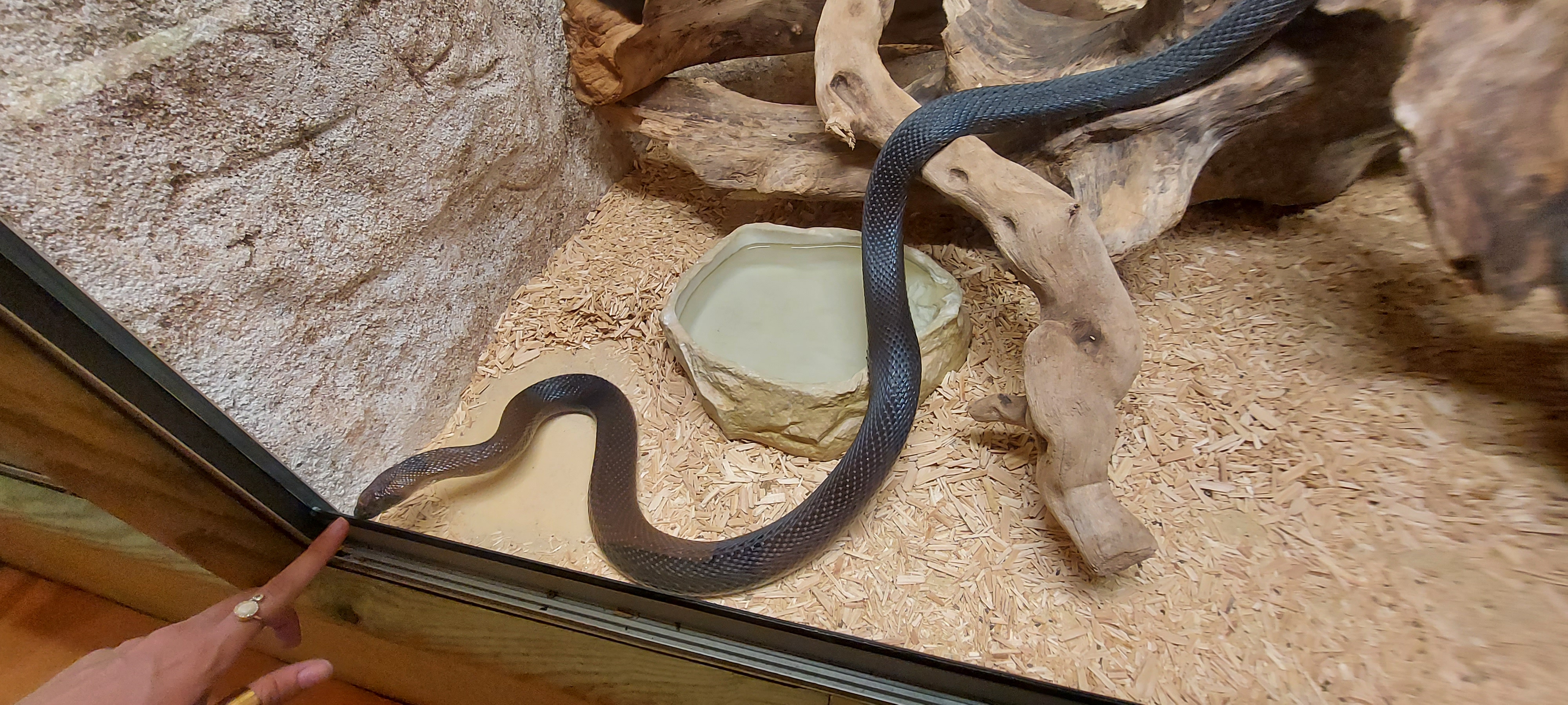 Photo n° 10 de l'avis de Sandrine.o fait le 11/07/2022 à 19:35