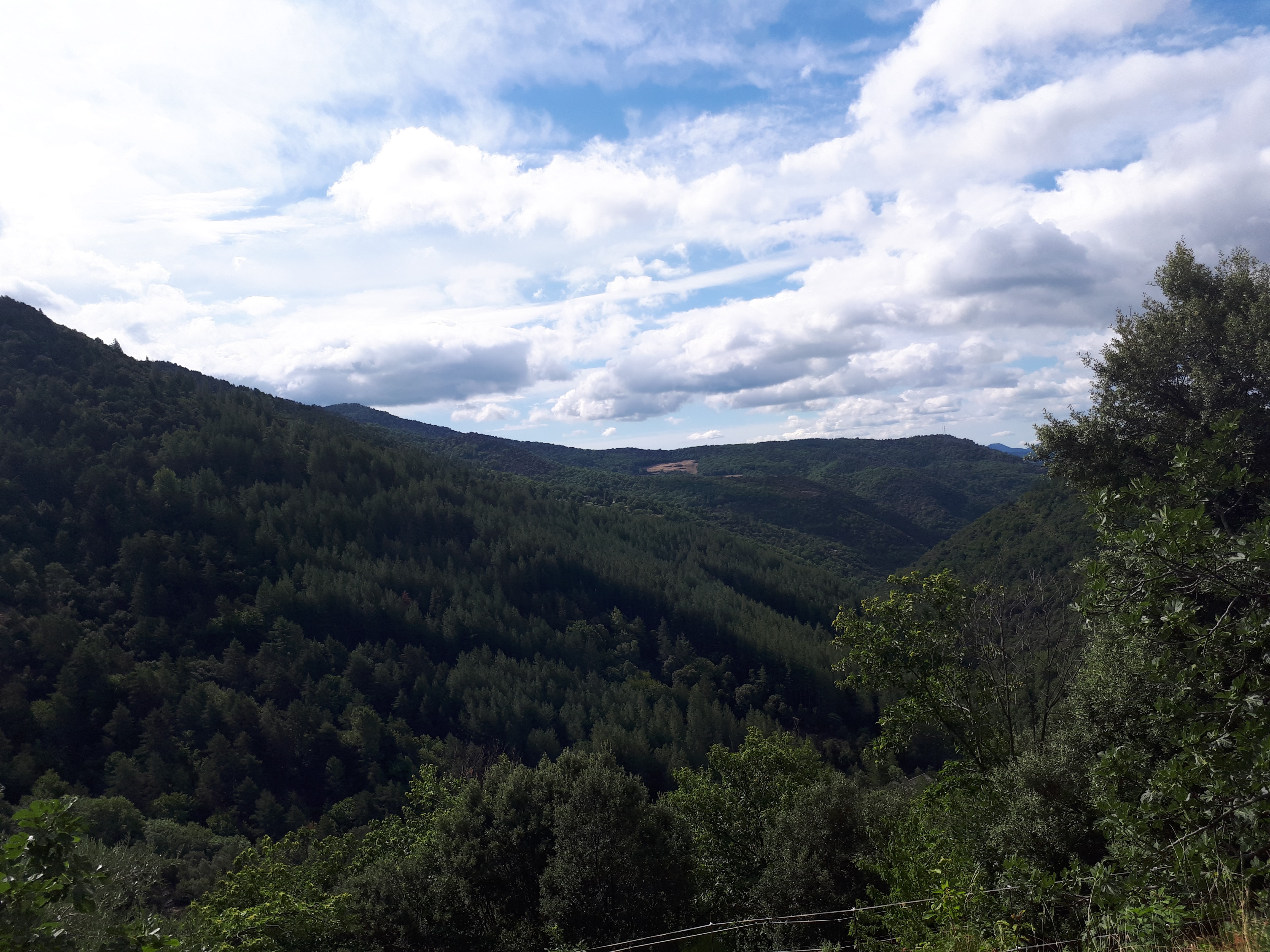 Photo n° 8 de l'avis de Fred.a fait le 21/07/2022 à 17:30