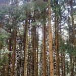 Photo n°7 de l'avis de Ermes.e fait le 23/07/2023 à 21:26 sur le  Navertino Trattoria e Bed&Breakfast à Borno