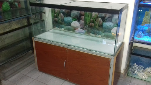 Acuario bahia