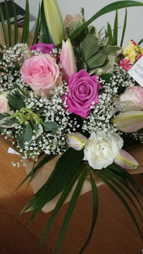 Reviews of Petals In Bloom in London - Florist