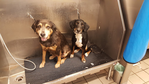 Pet Supply Store «Pet Supplies Plus», reviews and photos, 803 Hillcrest Rd, Mobile, AL 36695, USA