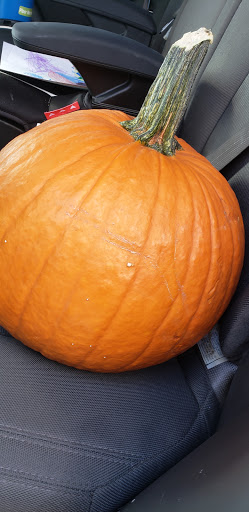 Supermarket «ALDI», reviews and photos, 6951 Preston Rd, Frisco, TX 75034, USA